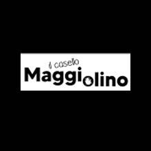 the-valley_mieter_maggiolino_logo.jpg